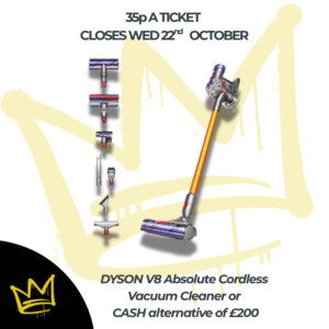 DYSON V8 Absolute Cordless Vacuum Cleaner or CASH alternative £200